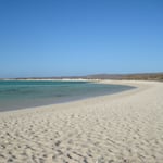 und im Ningaloo Reef NP