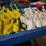 ...und Chicken vom städtischen Grossmarkt