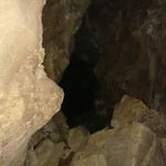 die Glühwürmer-Höhlen von Abbeys Cove