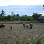 Strom gibts hier seit 2008!