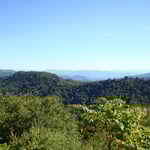 im Great Smoky Mountains NP