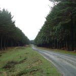 der beschwerliche Weg...