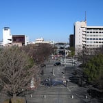 開港広場と大桟橋を望む