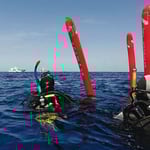 Galapagos Shark Diving - Tips for your dive trip Galapagos Islands