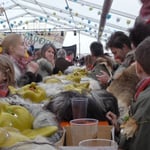 wenn sie nur immer so ruhig wären