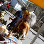 Ein Gnom am Getränkestand ist reiner Zufall!