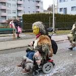 Schnupperngnom der selteneren Art, aber mit Talent für weitere Umzüge.