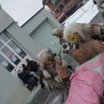 zwischendurch wird der Haushalt gemacht