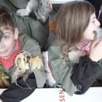 Gut, dass Schnuppergnomen auch nach dem Umzug noch lachen können