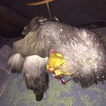 ah ja, jetzt mit Sonnenbrille sehe ich den Boden auch....