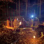 ...während die eingesessenen in Gemütlichkeit verfallen. 