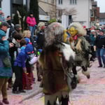 Neue Ziege auf dem Rücken