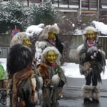 Wölfe im Schafspelz?!?!