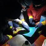 Dann mal rein in den Topf mit dem Gemüse.