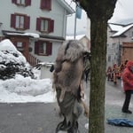 Rätsel: Welches ist der richtige Baum?