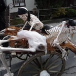 wen haben wir denn da?