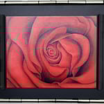 Wechselrahmen; Echtweissgold / Motiv wechselbar