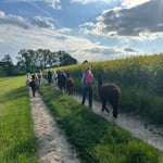 Naturpfad im Münchner Osten während der Wanderung