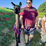 Entschleunigtes Naturerlebnis mit Alpaka