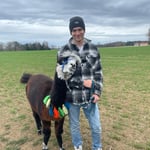 Besonderer Augenblick mit einem Alpaka auf der Wanderung