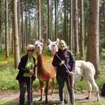 Menschen und Lamas auf der 2,5‑stündigen Wanderung ‚Über Stock und Stein