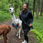Besonderer Augenblick mit einem Alpaka auf der Wanderung