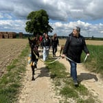 Feld- und Waldwege der Wanderroute in Hohenlinden
