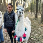 Teilnehmerin genießt Zeit mit einem Lama auf der Wanderung