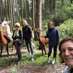 Lächelnde Person macht ein Selfie mit der Gruppe und Alpakas und Lamas