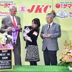 ハバニーズ　ドッグショー　寧