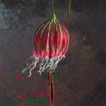 Glockenblume Nr. | Bell flower No. 5 |   35 €   | Ø ca. 14 cm