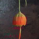 Glockenblume Nr. | Bell flower No. 3 |   30 €   | Ø ca. 14 cm