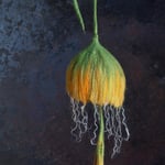 Glockenblume Nr. | Bell flower No. 7 |   35 €   | Ø ca. 14 cm