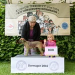 Border Terrier Hündin "Messalina's Nightshade Bella"