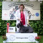 Scottish Terrier Rüde "Sir Darnley's Xactly Xanadutch"