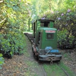 Ruston poseert in het park waar de rododenderons bloeien.