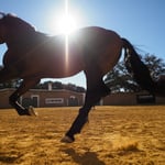 Olympus M.Zuiko 12-40 f2.8 Pro