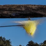 Olympus M.Zuiko 40-150 f2.8 Pro