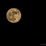 Olympus M.Zuiko 300 f4 IS Pro