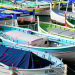  Nice Photo: Lulu Roseman