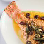 Arabella's Port Douglas Photo: Salty Dingo 