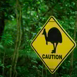 Mossman Gorge Photo: Courtesy of Mossman Gorge