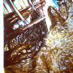 California History: The Golden Bear.