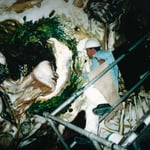 Greco-Roman Mythology: Athena, Greek Godess of War, from the California State Seal.