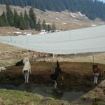 das ist noch viel spannender als Fernseh-Gucken ;-)