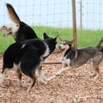 Kindergarten am Spielen