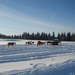 ... direkt neben dem Stakeoutplatz