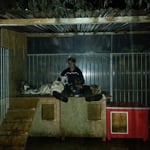 Wääh, Regen - dann gerne kuscheln mit Mutti ;-)