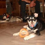 Spielsachen sind soooooooo toll ;-)