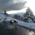 Wetterennen zwischen Bruder und Schwester...